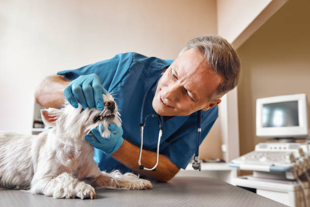 Best Emergency Wisdom Teeth Removal in Vander, NC